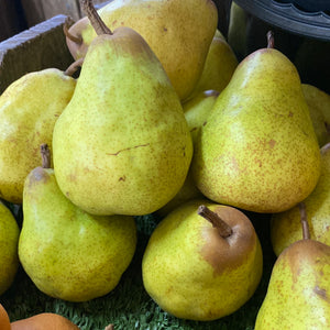Packham pears 1KGe
